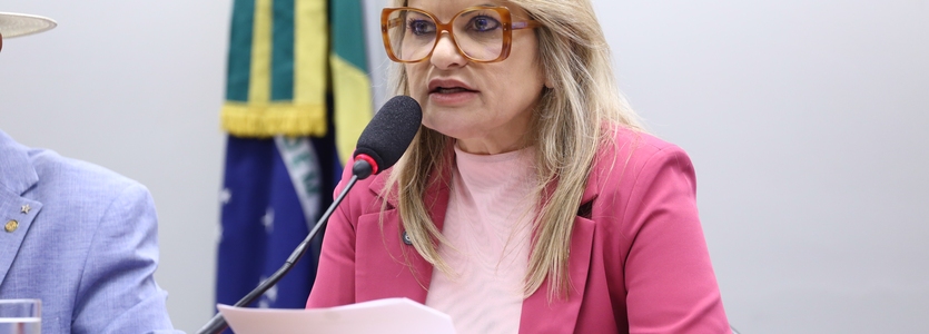 Comissão Aprova Proposta que Atualiza o Estatuto da Criança e do Adolescente Sobre Trabalho Infantil e Atividade Artística
